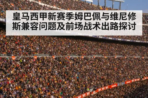 football stadium crowd